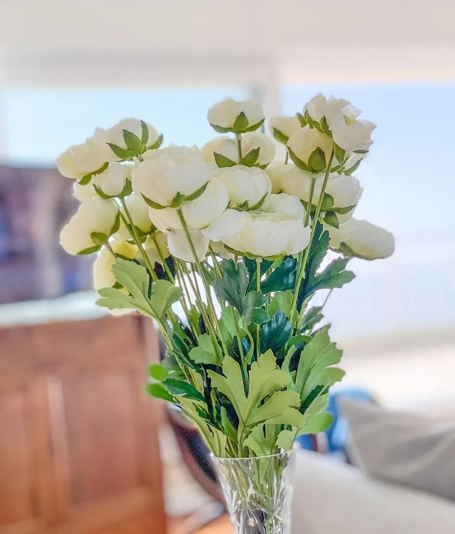 Studio With A Unique Terrace And Amazing Panoramic View Of The Sea T45 Oostende 0*,  Belçika